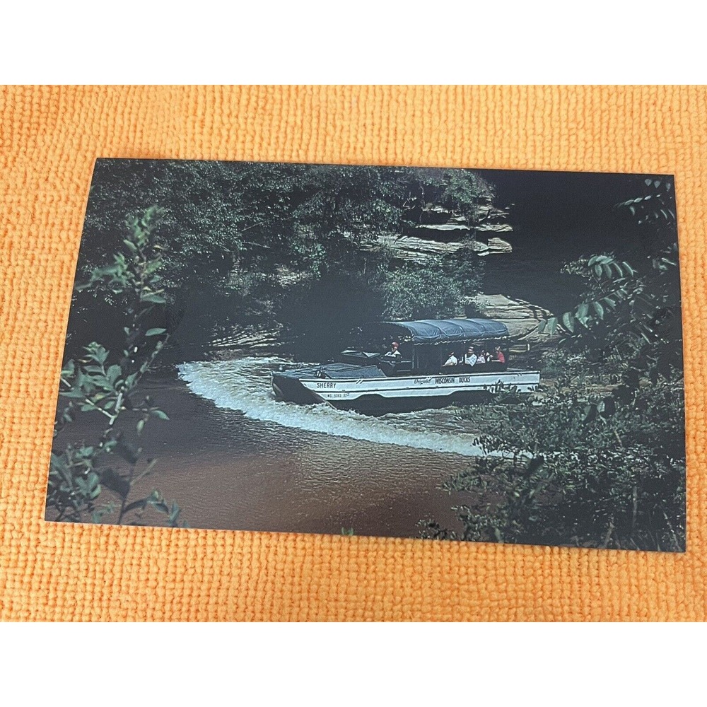 Wisconsin Dells RPPC Real Photo Postcard “Duck going though Dell Creek”‎